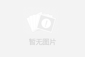 比亚迪(002594)新能源领导者